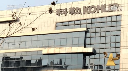 315曝光警示 商品批發(fā)貿(mào)易暗藏貓膩，消費(fèi)者與企業(yè)需共同警惕